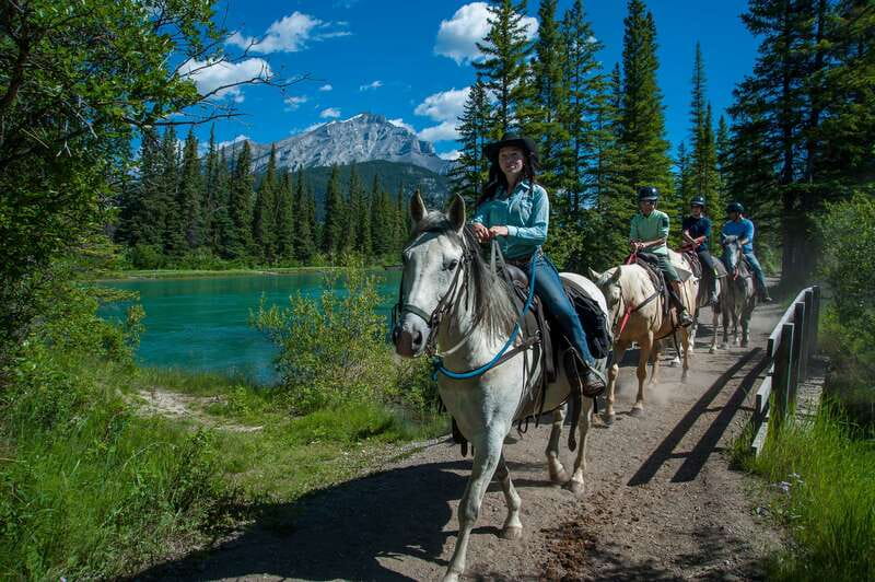 Banff National Park: 2-Hour Sundance Loop Horseback Ride - Meeting your horse and learning the basics