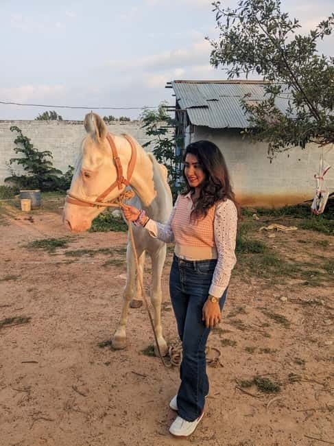Bangalore: Horse Riding Safari Tour - From Kalyan Nagar to Bangalore’s greener edge