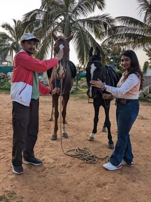 Bangalore: Horse Riding Safari Tour - A quiet break from city noise