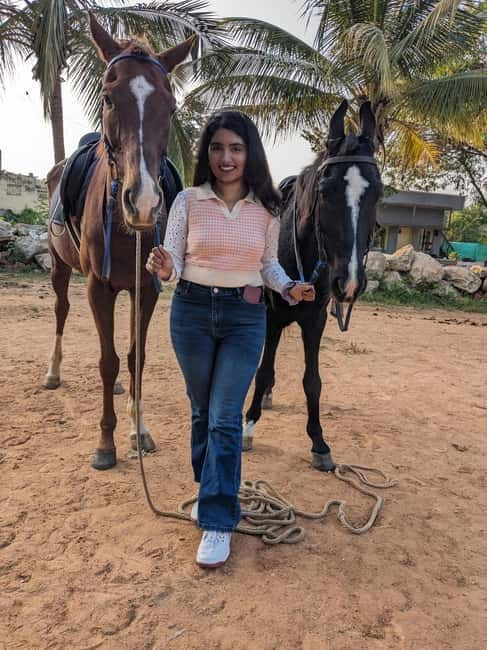 Bangalore: Horse Riding Safari Tour - Meeting your horse before you ride