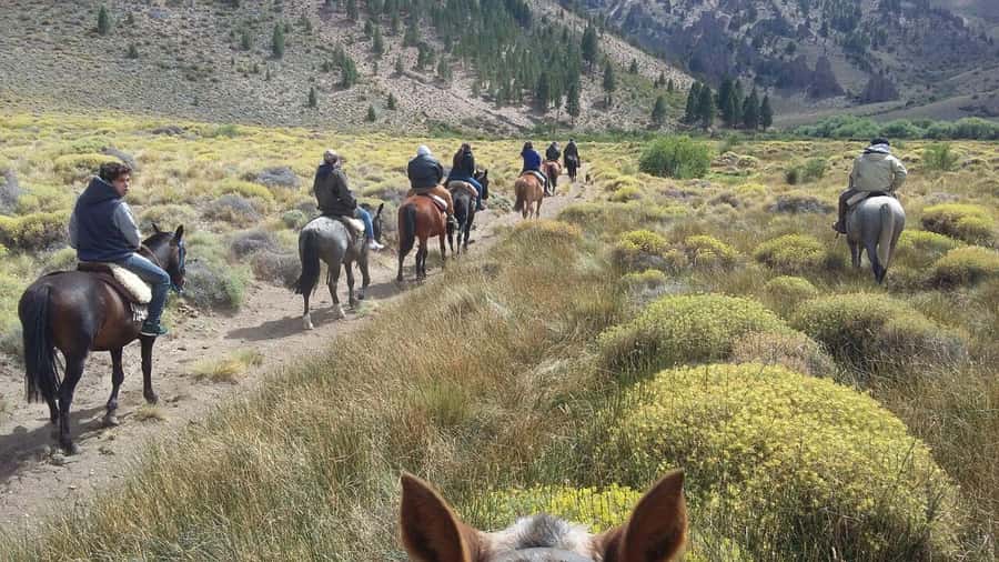 Bariloche: Guided horseback rides in the Patagonian steppe - Key points at a glance