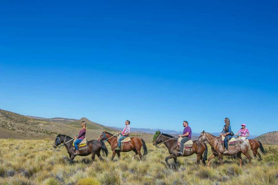 Bariloche: Guided horseback rides in the Patagonian steppe - Leaving Bariloche for the Patagonian steppe