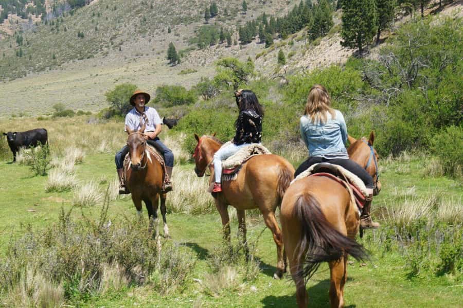 Bariloche: Guided horseback rides in the Patagonian steppe - Two hours on horseback across uneven ground