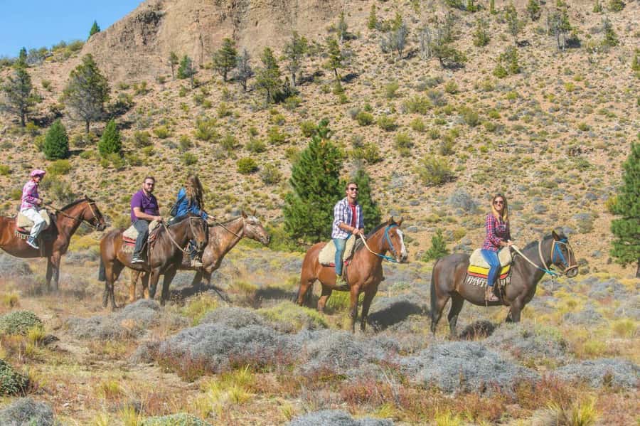 Bariloche: Guided horseback rides in the Patagonian steppe - Breakfast and a closer look at local nature