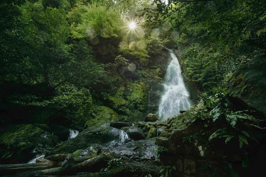 Batumi: Extreme Escape – ATV, Buggy, Horses & Hike - ATV trails, steep climbs, and river paths