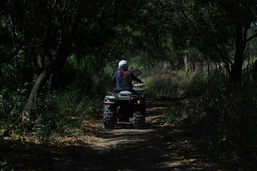 Batumi: Extreme Escape – ATV, Buggy, Horses & Hike - Horse riding, zip lining, and the optional extras