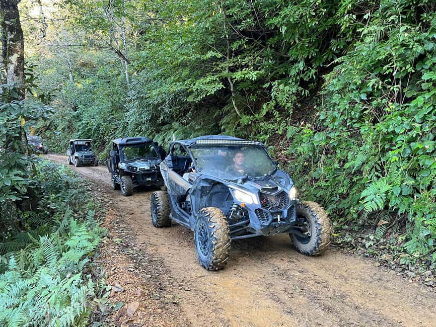 Batumi: Mtirala ATV, Buggy Maverick & Horse Riding Adventure - Key points to know before you go