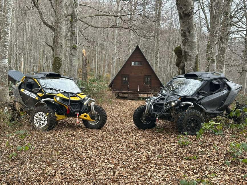 Batumi: Mtirala ATV, Buggy Maverick & Horse Riding Adventure - Mtirala National Park and its wet mountain scenery