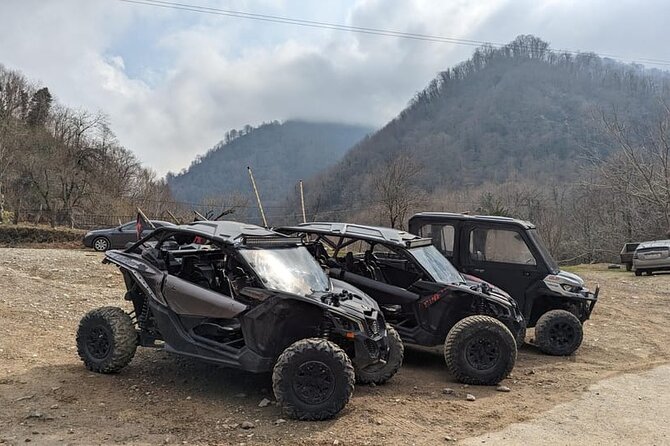Batumi: Mtirala ATV, Buggy Maverick RZR & Horse Riding Adventure - Buggy and Maverick RZR options
