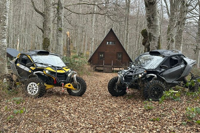 Batumi: Mtirala ATV, Buggy Maverick RZR & Horse Riding Adventure - ATV rides: fun, but check the time and price