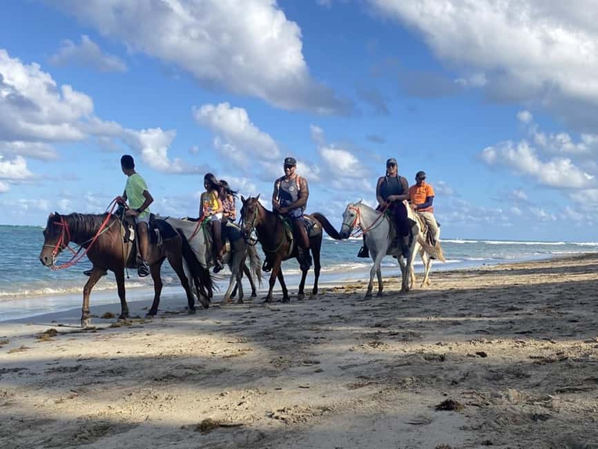 Bayahibe: Buggy and Horseback Riding Tour - Conucos, sugarcane, and everyday Dominican life