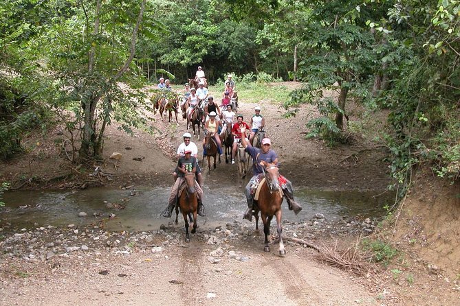 Bayahíbe Horseback Riding & River swimmig - Key points to know before you book