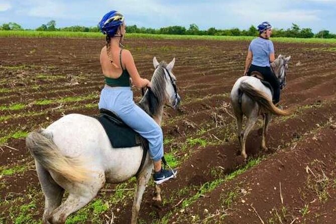 Bayahíbe Horseback Riding & River swimmig - Why the forest and beach setting matters