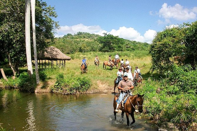 Bayahíbe Horseback Riding & River swimmig - Riding from the forest toward the beach