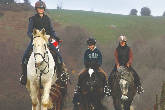 Beach & countryside horse riding outside Westport. Guided. 1 hour - Key points to know before booking