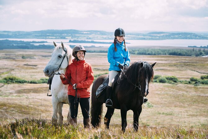 Beach & countryside horse riding outside Westport. Guided. 1 hour - Clew Bay, seals, and a famous island