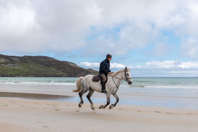 Beach & countryside horse riding outside Westport. Guided. 1 hour - The guides and the feel of the outing