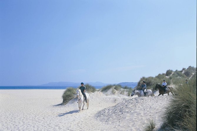 Beach & countryside horse riding outside Westport. Guided. 1 hour - Is one hour enough for the price?