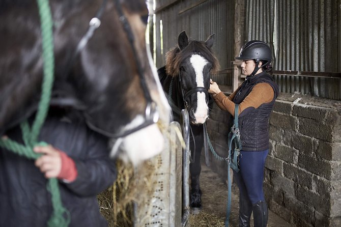 Beach & countryside horse riding outside Westport. Guided. 1 hour - A gentle start for first-time riders