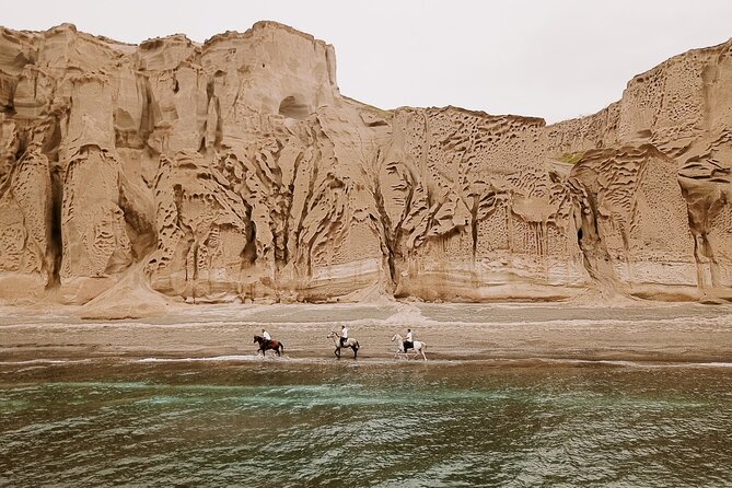 Beach Gallop - Horse Riding Safari for Experienced Riders - Key points at a glance