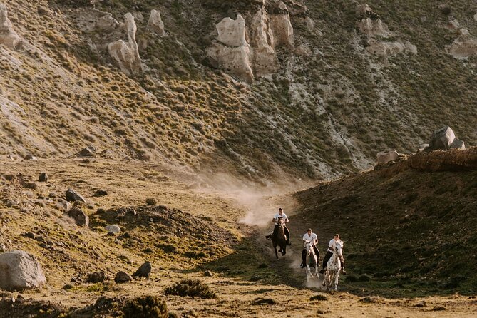 Beach Gallop - Horse Riding Safari for Experienced Riders - Starting in Megalochori among vineyards and village lanes