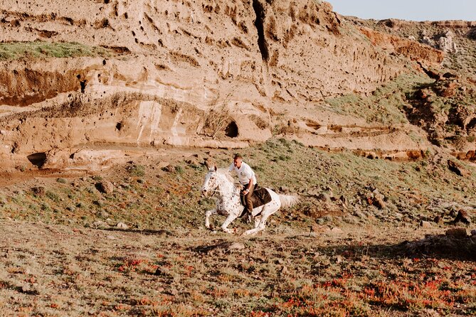 Beach Gallop - Horse Riding Safari for Experienced Riders - Is the $192 price good value?