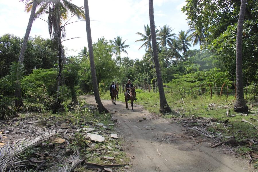 Beach horse back riding with countryside - Should You Book The Puerto Plata Horse Ride?