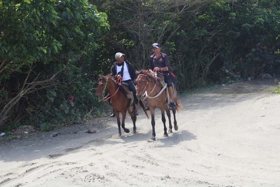Beach horse back riding with countryside - From The Cruise Port To Puerto Plata’s Countryside