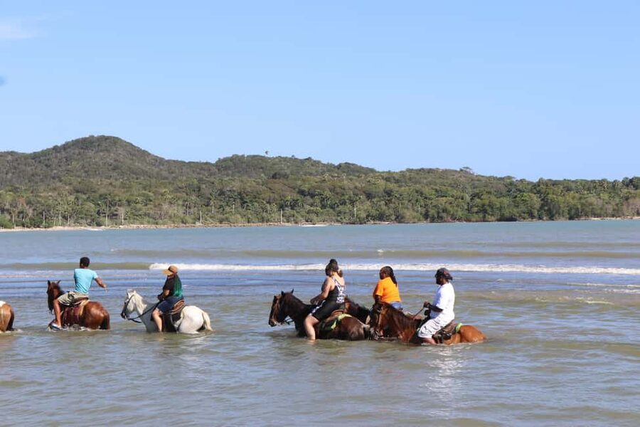 Beach horse back riding with countryside - What The Horses And Guide Mean For Your Experience