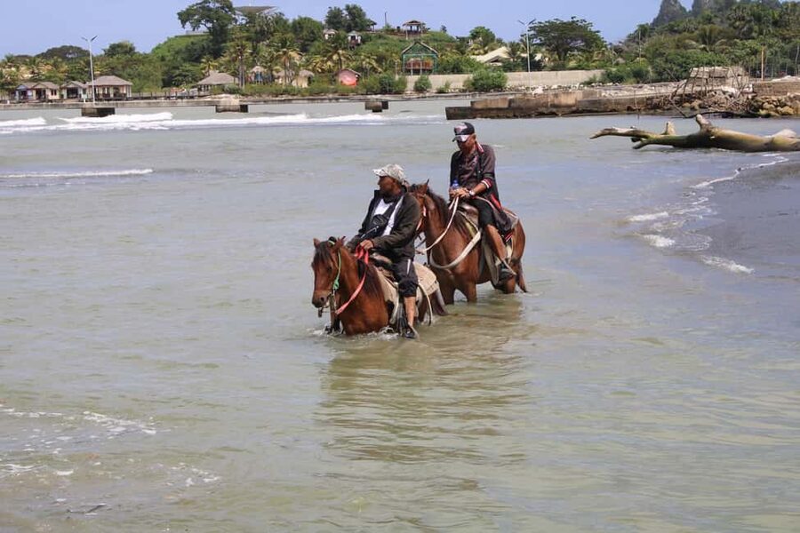 Beach horse back riding with countryside - How Much Value You Get For $90