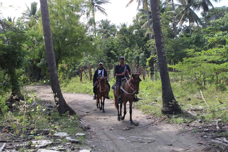 Beach horse back riding with countryside - Who Should Book This Ride?