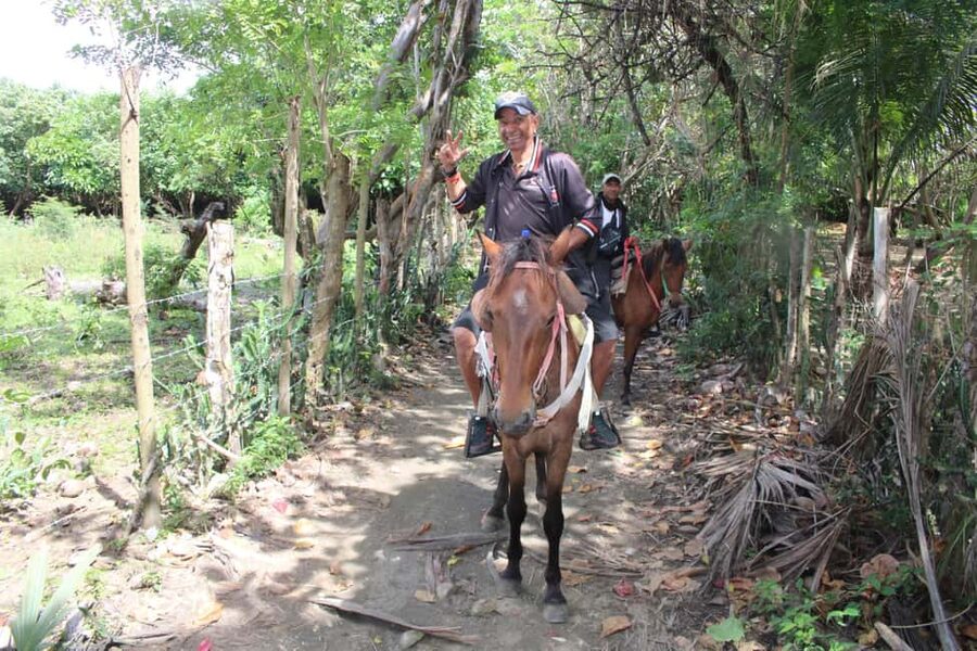 Beach horse back riding with countryside - The Main Strengths And Weak Spots