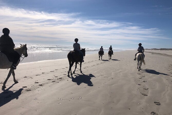 Beach Horse Ride in Yzerfontein, Western Cape - Key things to know before you book