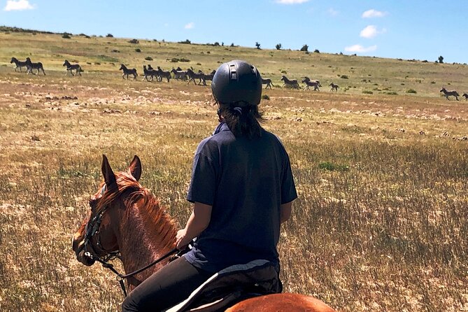 Beach Horse Ride in Yzerfontein, Western Cape - The main event: an open beach ride