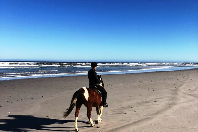 Beach Horse Ride in Yzerfontein, Western Cape - Meeting at Yzerfontein Community Hall
