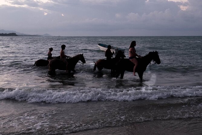 Beach Horse Ride with countryside amber cove & Taino Bay - Leaving the port for the ranch