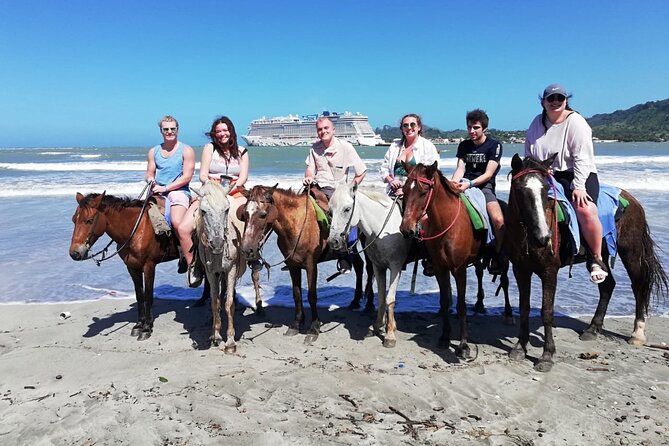 Beach Horse Ride with countryside amber cove & Taino Bay - The animal-friendly side of the outing