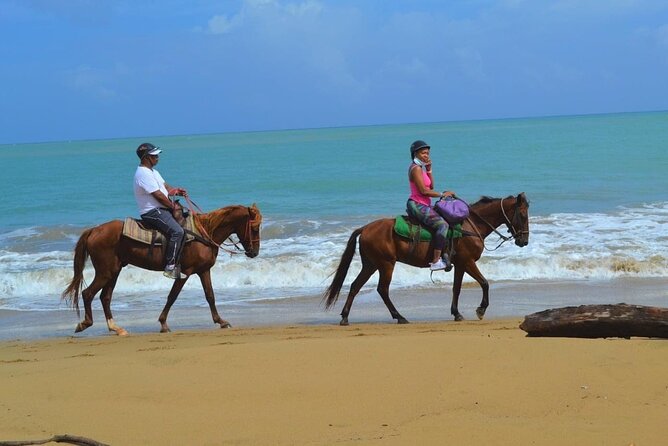 Beach Horse Ride with countryside amber cove & Taino Bay - What the 1-hour-30-minute schedule means