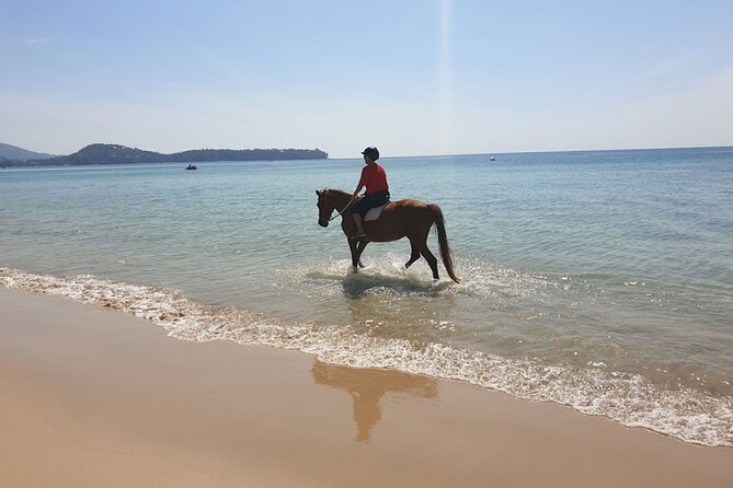 Beach Horse Riding Activity in Phuket - The rules that can make or break your day