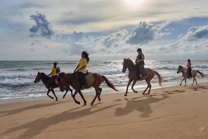 Beach Horse Riding Activity in Phuket - Choosing a horse and proving your control