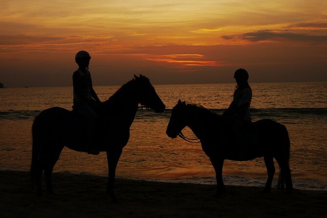 Beach Horse Riding At Sunset In Phuket - Horses, welfare, and an important concern