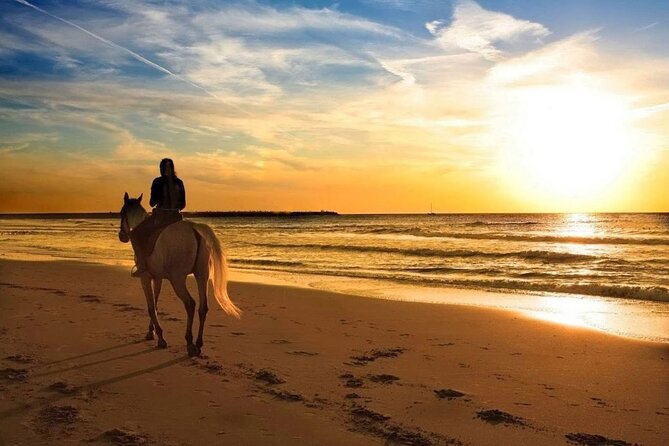 Beach Horse Riding At Sunset In Phuket - Arriving at Kamala Horse Riding Club