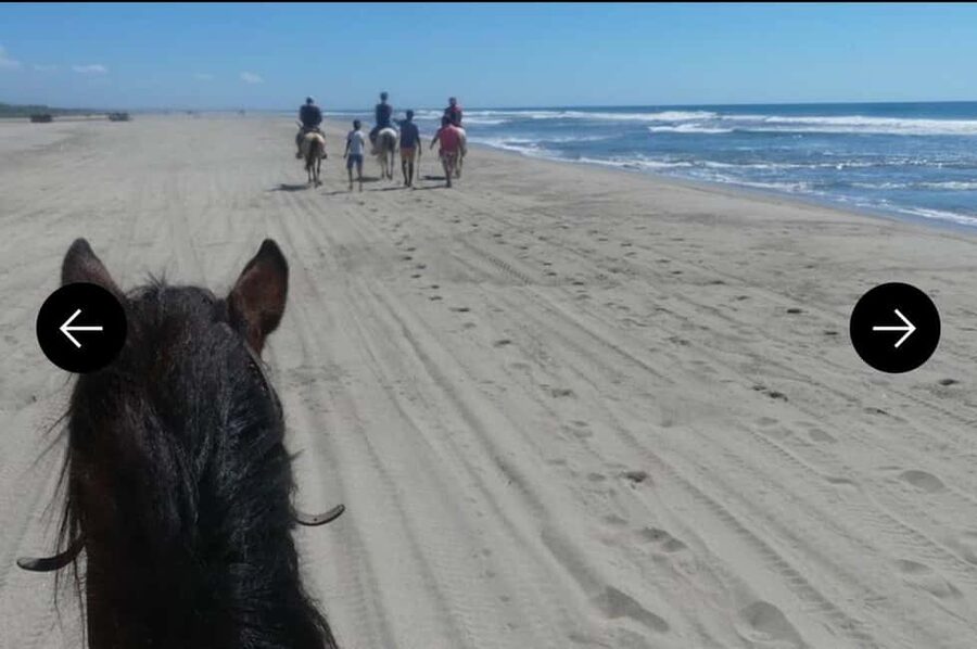 .Beach Horse Riding Turtle Release Crocodile Farm Experience - Key Points at a Glance
