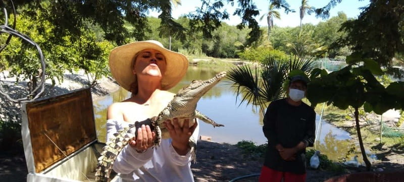 .Beach Horse Riding Turtle Release Crocodile Farm Experience - Booking Advice for a Smoother Day