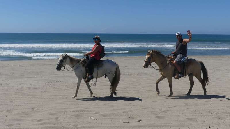 .Beach Horse Riding Turtle Release Crocodile Farm Experience - Why This Acapulco Day Trip Feels Different