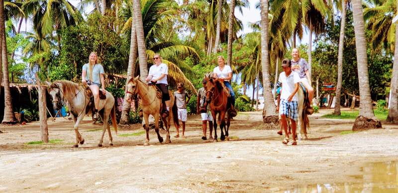.Beach Horse Riding Turtle Release Crocodile Farm Experience - The Crocodile Farm Visit