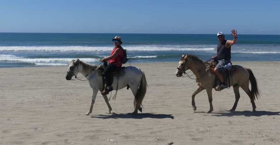 .Beach Horse Riding Turtle Release Crocodile Farm Experience - What the $125 Price Really Covers