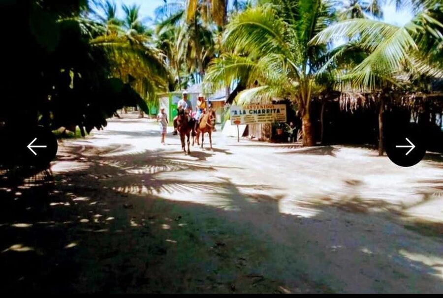 .Beach Horse Riding Turtle Release Crocodile Farm Experience - Who Will Enjoy This Experience Most