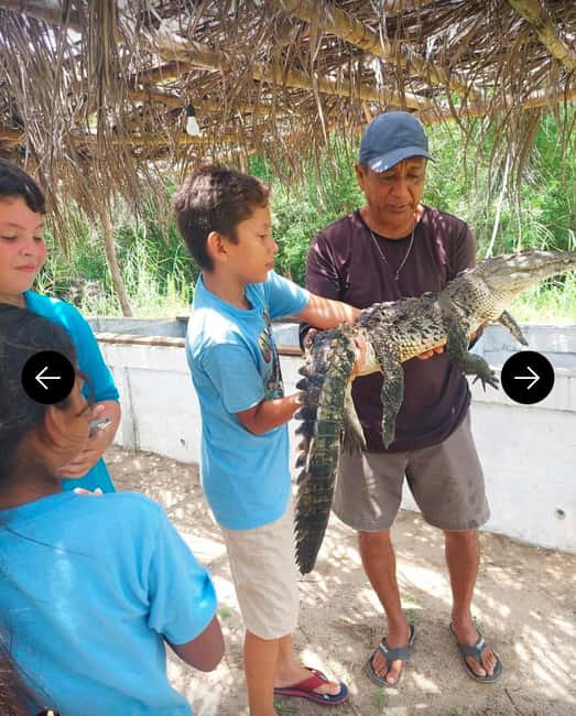 .Beach Horse Riding Turtle Release Crocodile Farm Experience - The Drive Beyond Acapulco