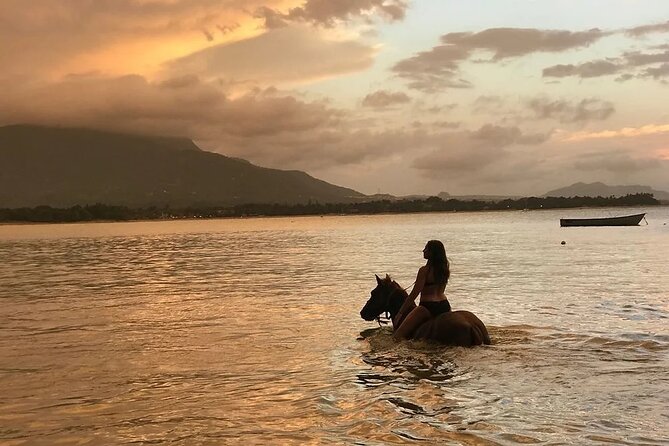 Beach Horseback Ride Tour in Puerto Plata - Scenic & Fun for All - From Puerto Plata pickup to the riding stable